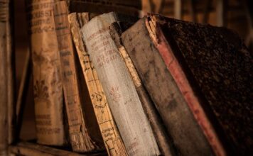 Czym się różni edukacja włączająca od integracyjnej?