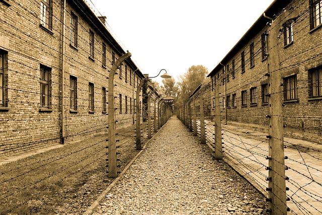 Co Niemcy mówią o Auschwitz? Co Niemcy mówią o Auschwitz?