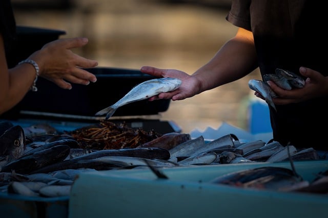 Co można zbierać i sprzedawać? Co można zbierać i sprzedawać?