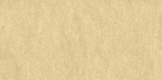 Co daje certyfikat księgowego?