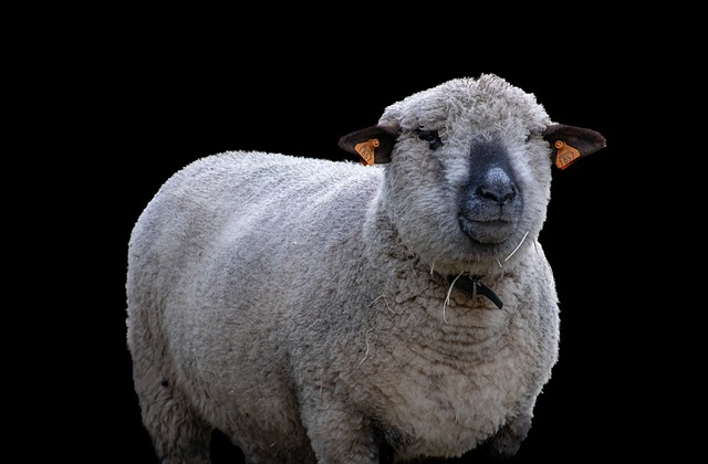 Co opłaca się hodować? Co opłaca się hodować?