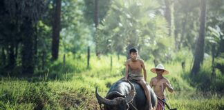 Czy opłaca się być rolnikiem?