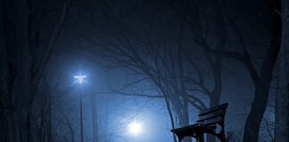 Kto odwiedza Polskę?