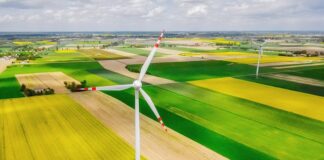 Co można uprawiać na 1 ha?