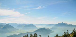 Jak komornik dowiaduje się o zatrudnieniu?