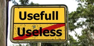 Jakie zboże jest najbardziej opłacalne?