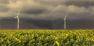 W jakiej kolejności Praca w CV?