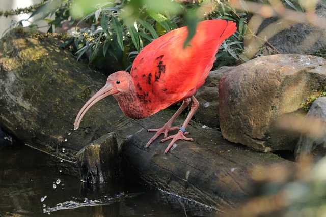 Ile lat jest się rezydentem? Ile lat jest się rezydentem?