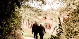 Ile wynosi emerytura z KRUS po 40 latach pracy?