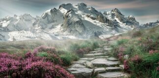 Co daje nam turystyka?