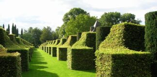 Ile trzeba mieć hektarów żeby się opłacało?