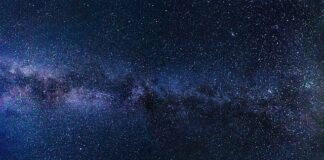 Czy zdjęcie w CV ma znaczenie?