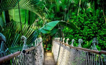 Ile trwa kurs animatora dla dzieci? Ile trwa kurs animatora dla dzieci?