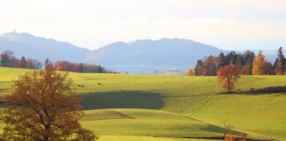 Ile to jest 3000 brutto na rękę?