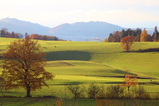 Ile to jest 3000 brutto na rękę? Ile to jest 3000 brutto na rękę?